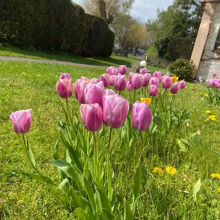 Hotel-pension Haus Holtdirk Hotel