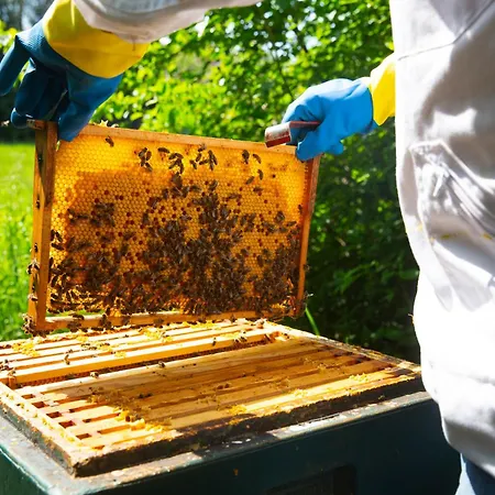 Hotel-pension Haus Holtdirk Hotel 3*