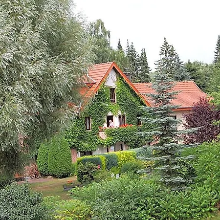 Hotel-pension Haus Holtdirk 3*