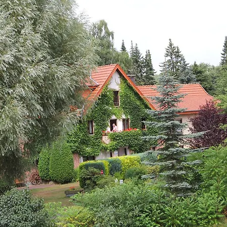 Hotel-pension Haus Holtdirk Hotel