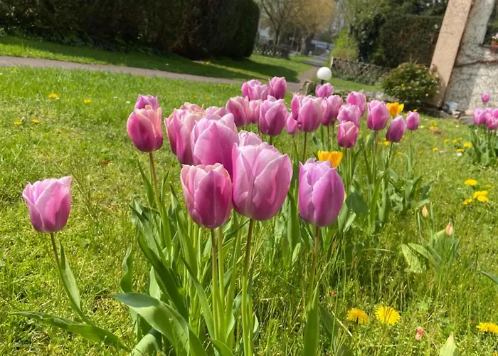 Hotel-pension Haus Holtdirk Hotel