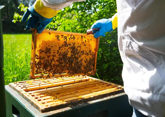 Hotel-pension Haus Holtdirk Hotel 3*